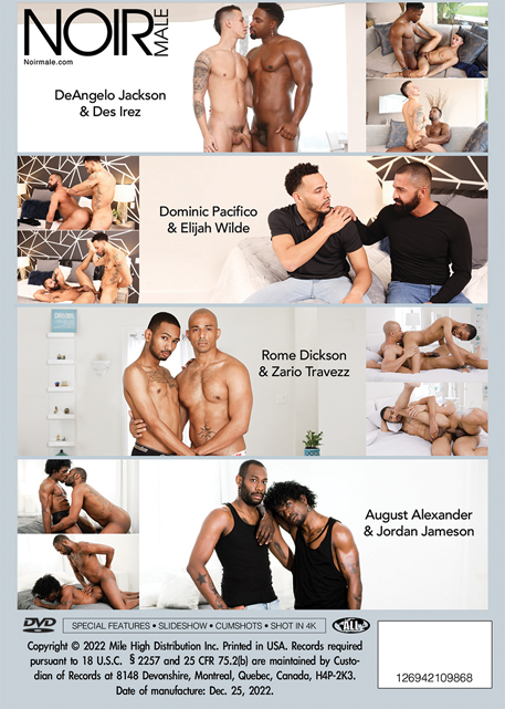 Hardcore Hookups Vol. 4