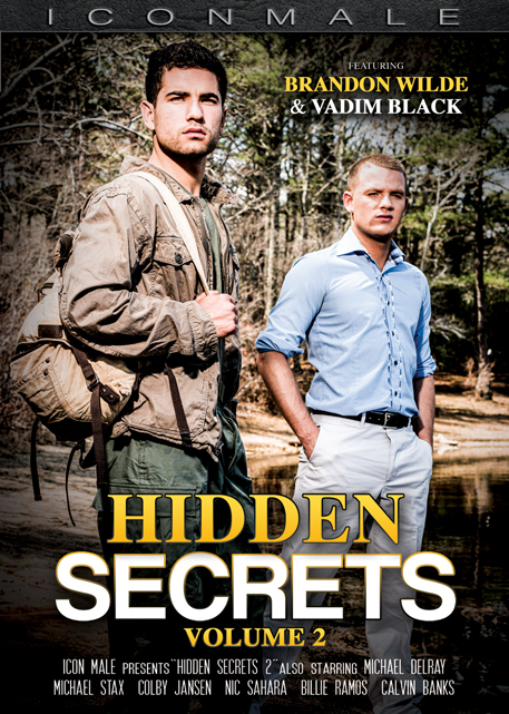 Hidden Secrets Vol. 2